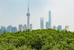 Access to Green Finance
